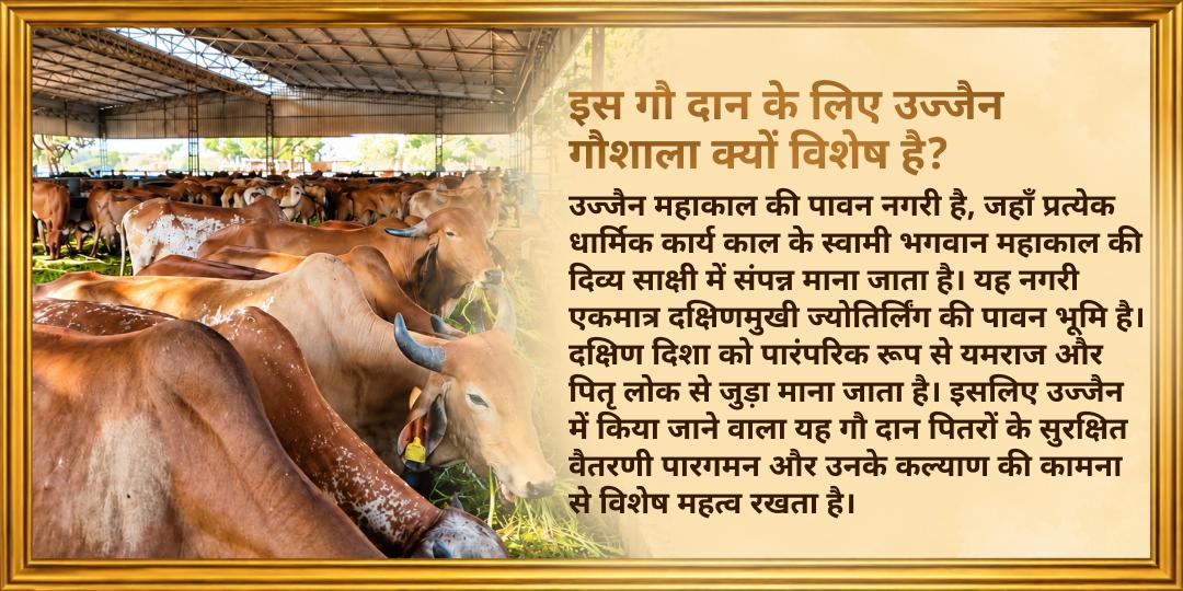महालया अमावस्या गौ दान (पंच धेनु सेवा) पितरों की पूर्ण मुक्ति के लिए