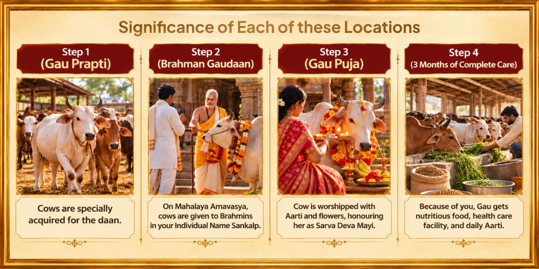 Mahalaya Amavasya Gau Mata Daan (Pancha Dhenu Seva) for Complete Pitru Moksha