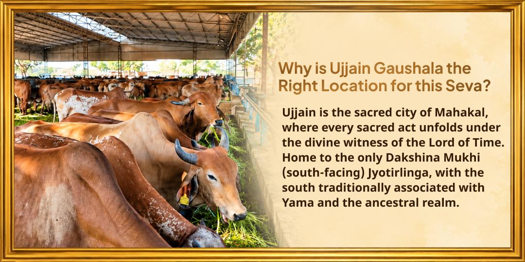 Mahalaya Amavasya Gau Mata Daan (Pancha Dhenu Seva) for Complete Pitru Moksha