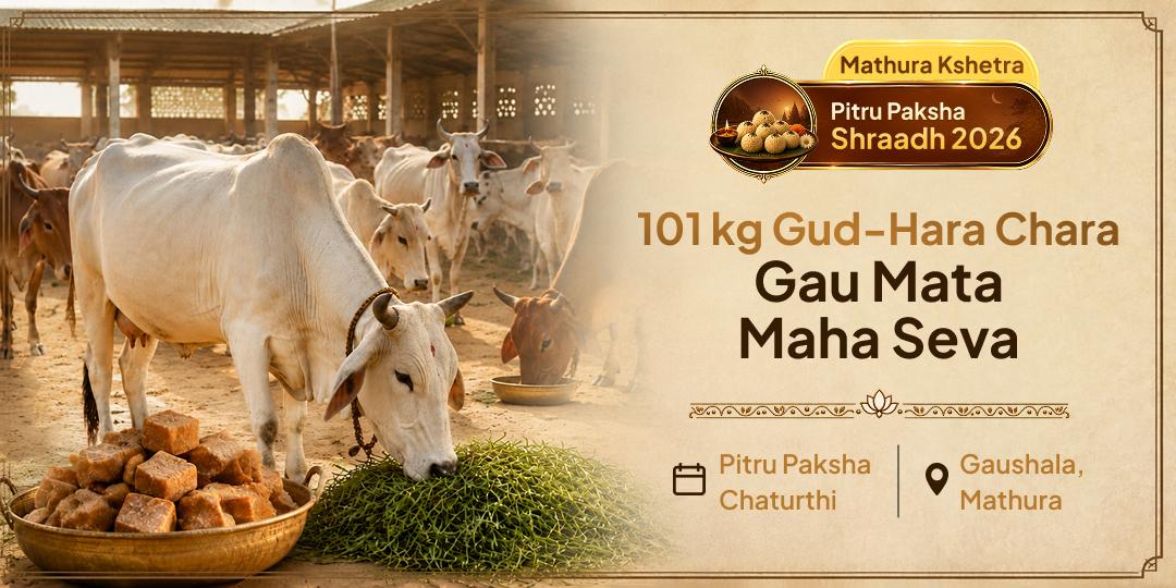 Join the 101 kg Gud-Hara-Chara Gau Mata Seva at the Gaushala of Mathura during Pitru Paksha - for Safe Vaitarni Crossing, Pitru Dosh Shanti and the Liberation of Your Ancestors!