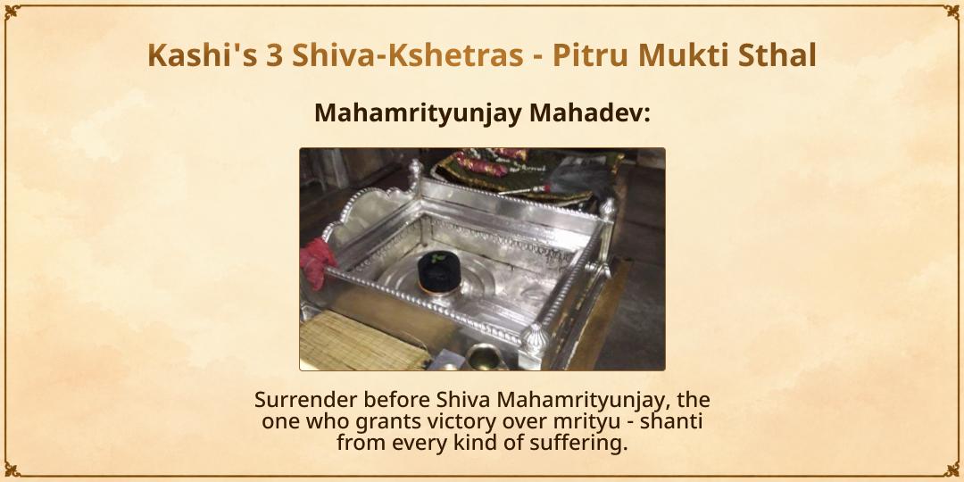 Pitru Paksha Ashtami Kashi-Gokarna Gyat-Agyat Purvaj Moksh Prapti Seva