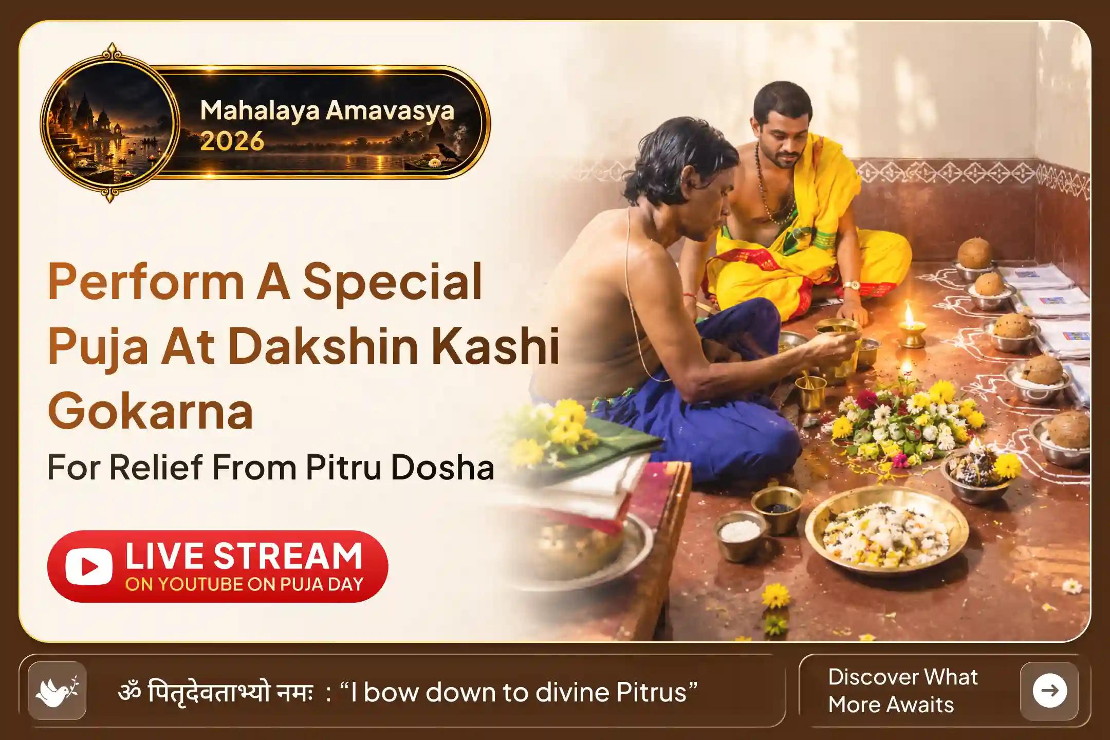 When Ancestral Burdens Linger, Turn to Sacred Narayan Bali Rituals for Pitru Shanti 
