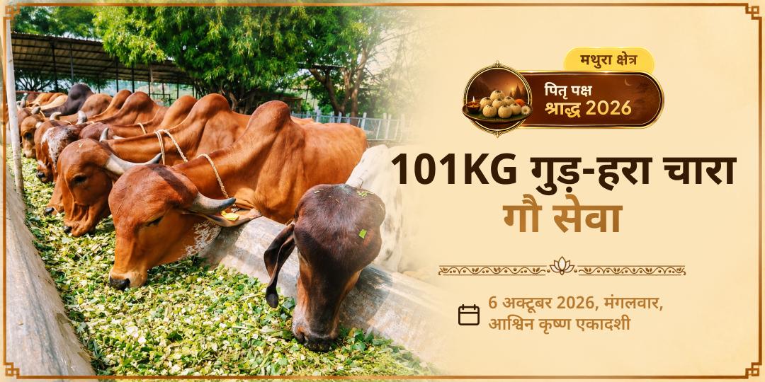 पितृ पक्ष एकादशी मोक्ष तीर्थ मथुरा 101KG गुड़-हरा चारा गौ सेवा