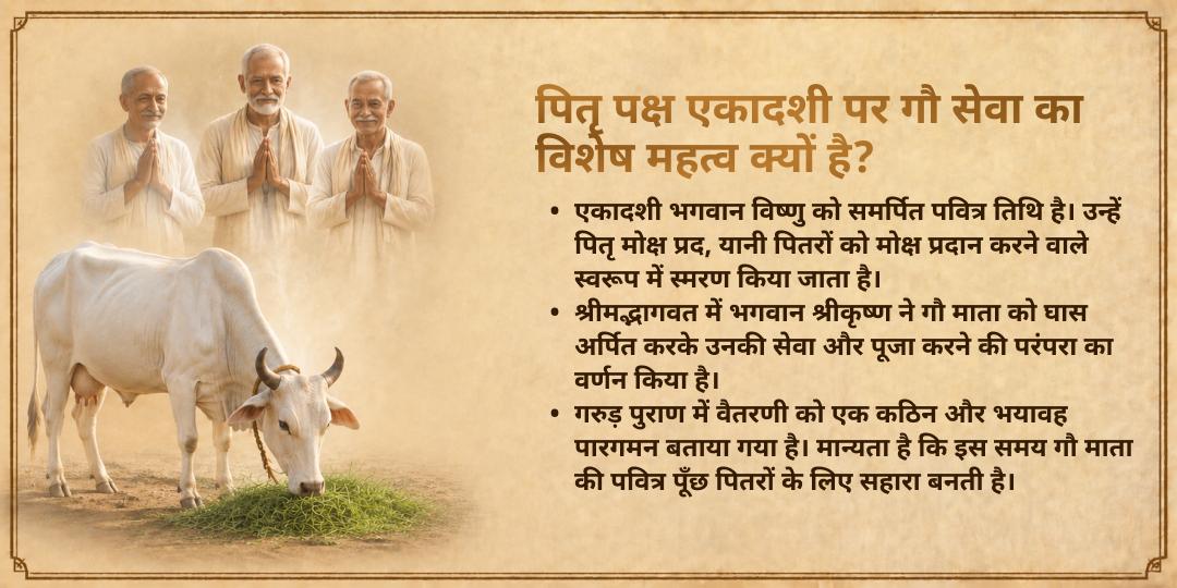 पितृ पक्ष एकादशी मोक्ष तीर्थ मथुरा 101KG गुड़-हरा चारा गौ सेवा