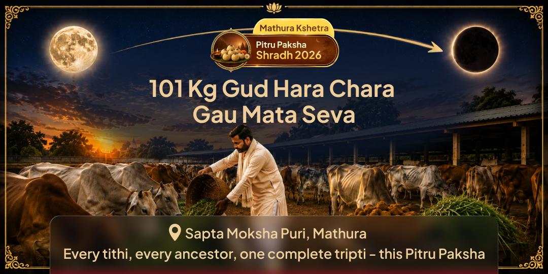 Pitru Paksha Shraddh 3-Day 101Kg Gud-Hara Chara Gau Mata Seva in Mathura