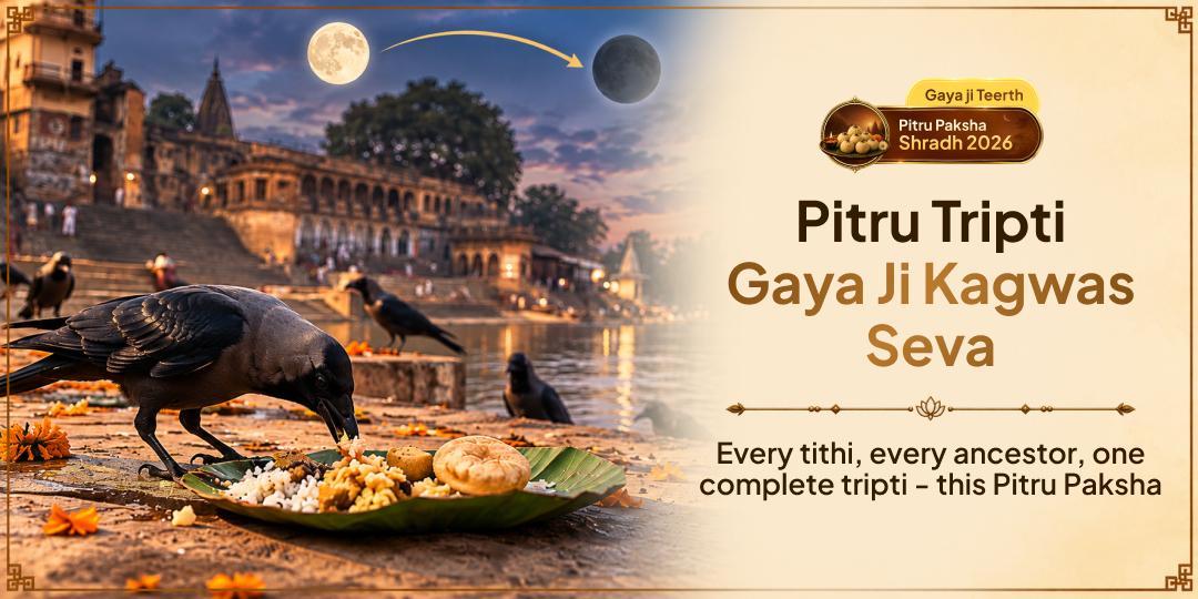 Pitru Paksha Shraddh Pitru Tripti Gaya Ji Kagwas Seva (Crows Seva)