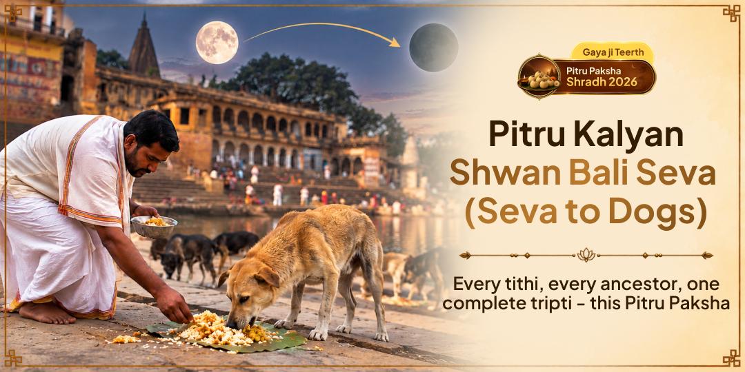 Pitru Paksha Shraddh Pitru Kalyan Shwan Bali Seva (Seva to Dogs)