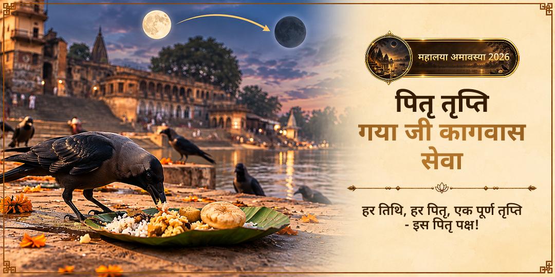 महालया सर्व पितृ अमावस्या पितृ तृप्ति गया जी कागवास (काक बलि) सेवा