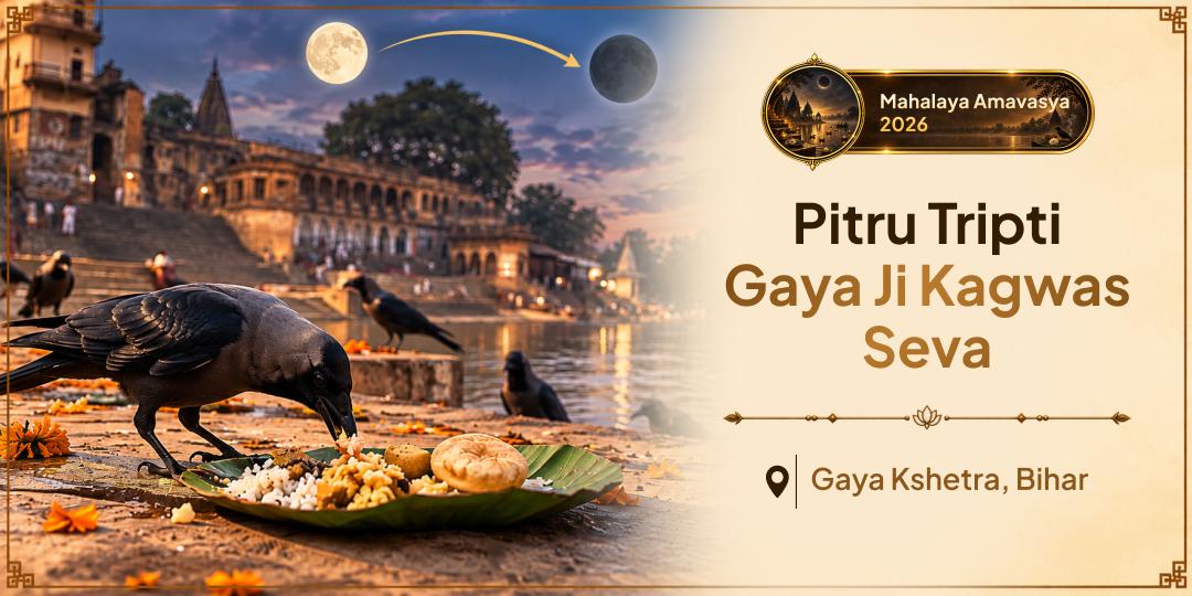 Crow is Pitru-doot, the direct messenger of the ancestors. Perform Kagwas Seva at Gaya Ji, Where Every Offering Reaches Ancestors Across Seven Generations!