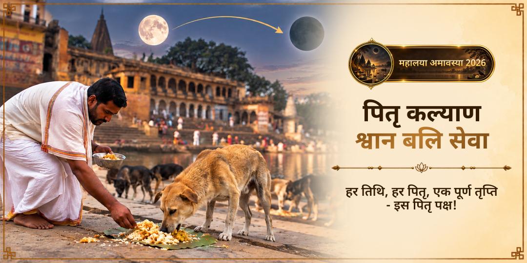 महालया सर्व पितृ अमावस्या पितृ कल्याण श्वान बलि सेवा