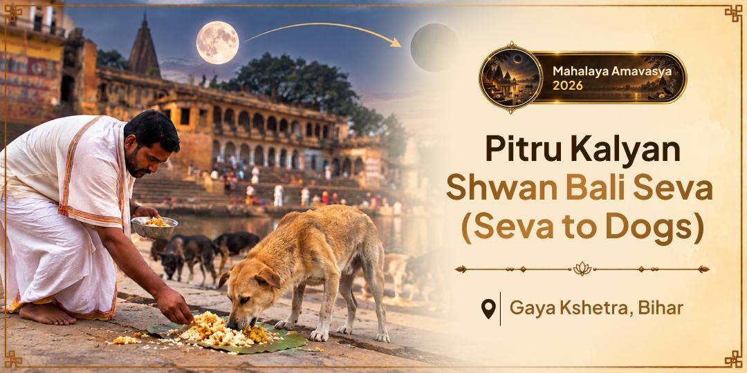 Your Ancestor Walks Yama's Path Which is Described as a Difficult One - Perform Shwan Seva at Gaya Ji to Ensure They Do Not Walk Alone!