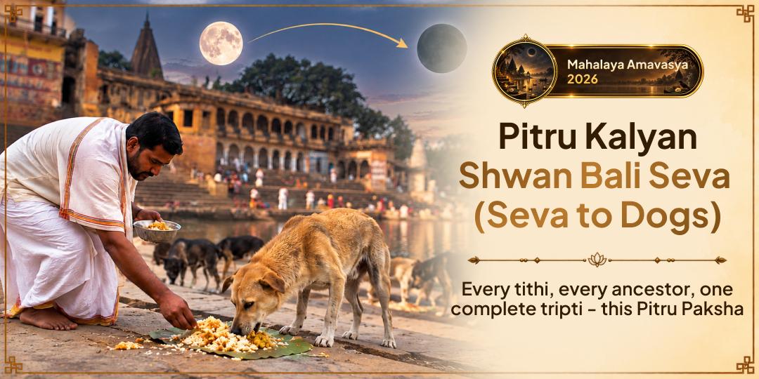 Mahalaya Sarva Pitru Amavasya Pitru Kalyan Shwan Bali Seva (Seva to Dogs)