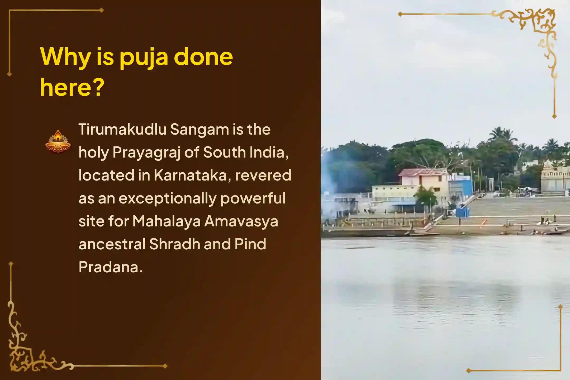 Participate in the Pitru Stotram, Shradh Puja, and Pind Pradana on Mahalaya Amavasya to satisfy departed ancestors, seek their blessings, and remove the effects of Pitru Dosha.