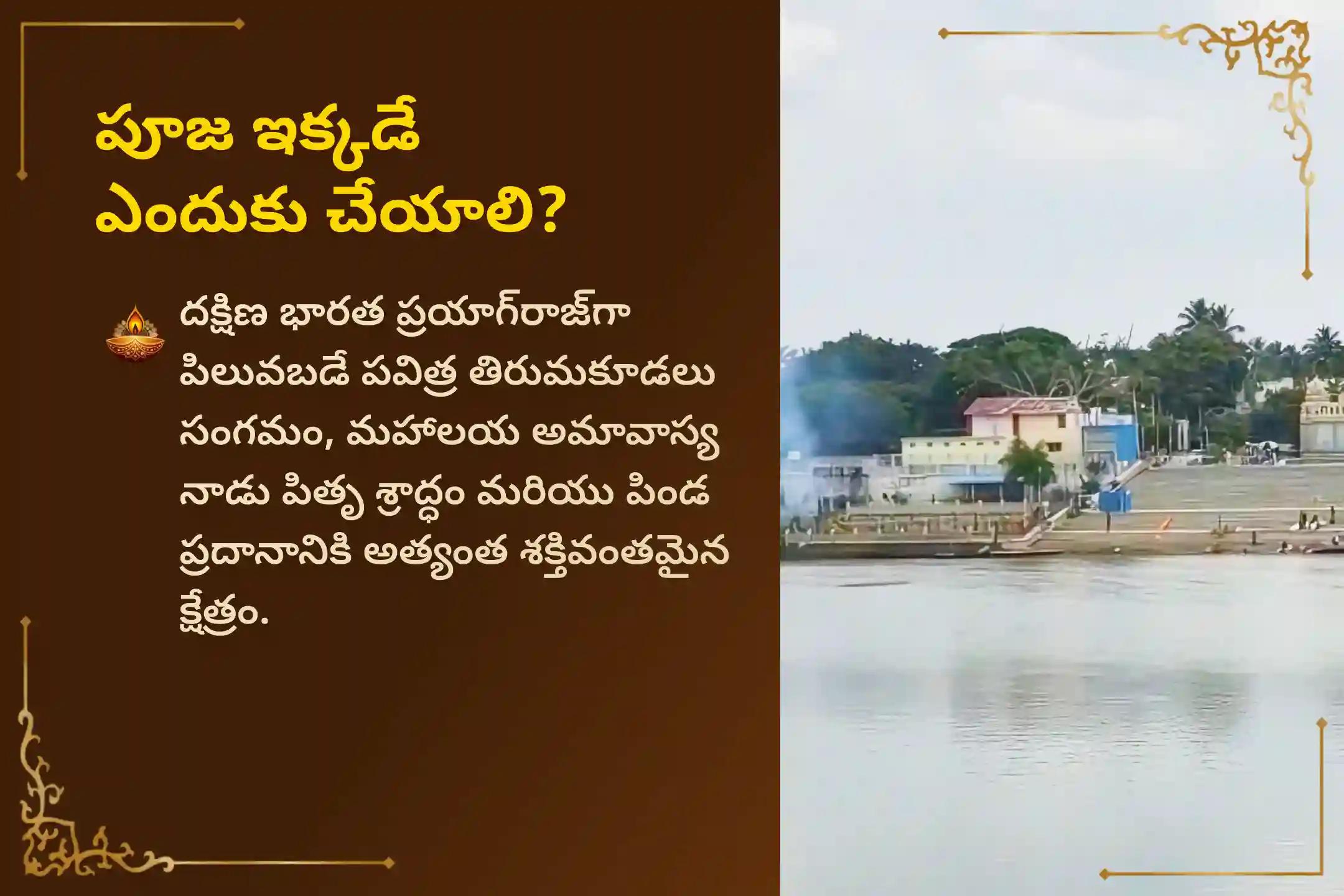 మహాలయ అమావాస్య అనగా పెద్దల అమావాస్య నాడు పితృదేవతలను ప్రసన్నం చేసుకోవడానికి, వారి ఆశీస్సులు పొందడానికి మరియు పితృ దోష ప్రభావాలను తొలగించుకోవడానికి 'పితృ స్తోత్రం, శ్రాద్ధ పూజ మరియు పిండ ప్రదానం' సేవలో పాల్గొనండి