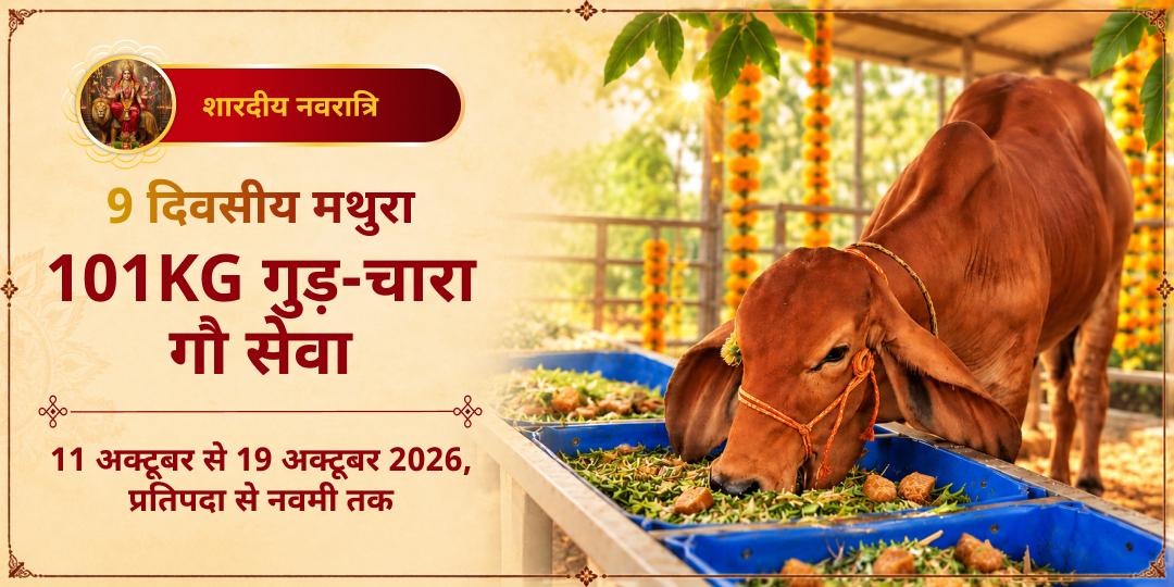 महा नवरात्रि 9 दिवसीय 101KG गुड़-चारा गौ सेवा मथुरा