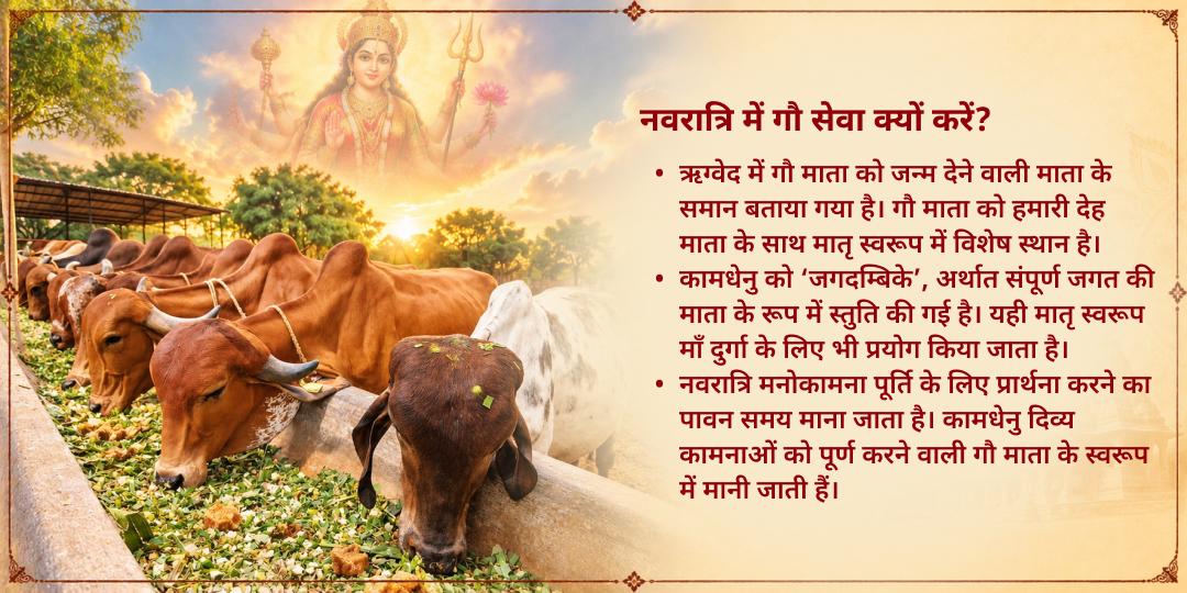 महा नवरात्रि 9 दिवसीय 101KG गुड़-चारा गौ सेवा मथुरा