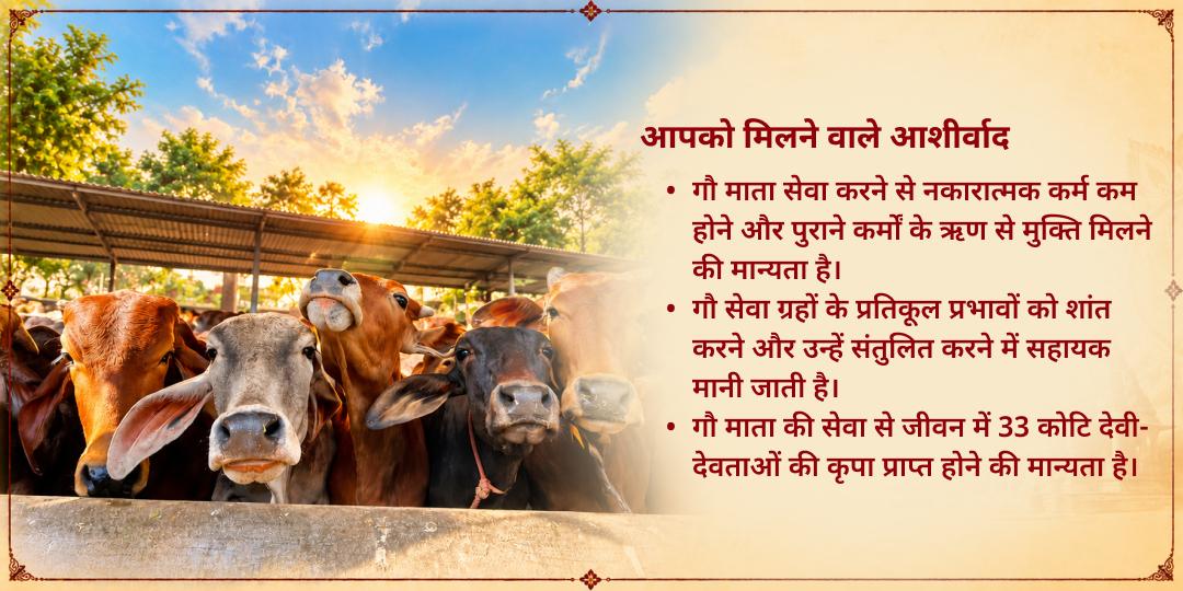 महा नवरात्रि 9 दिवसीय 101KG गुड़-चारा गौ सेवा मथुरा