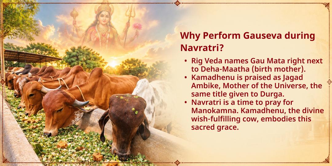 Maha Navratri 9 Days 101KG Gud-Chara Gauseva in Mathura