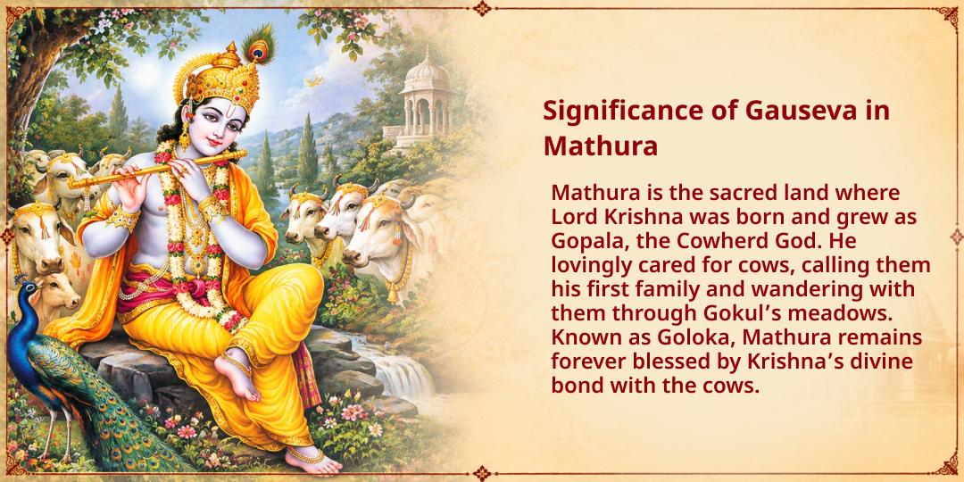 Maha Navratri 9 Days 101KG Gud-Chara Gauseva in Mathura