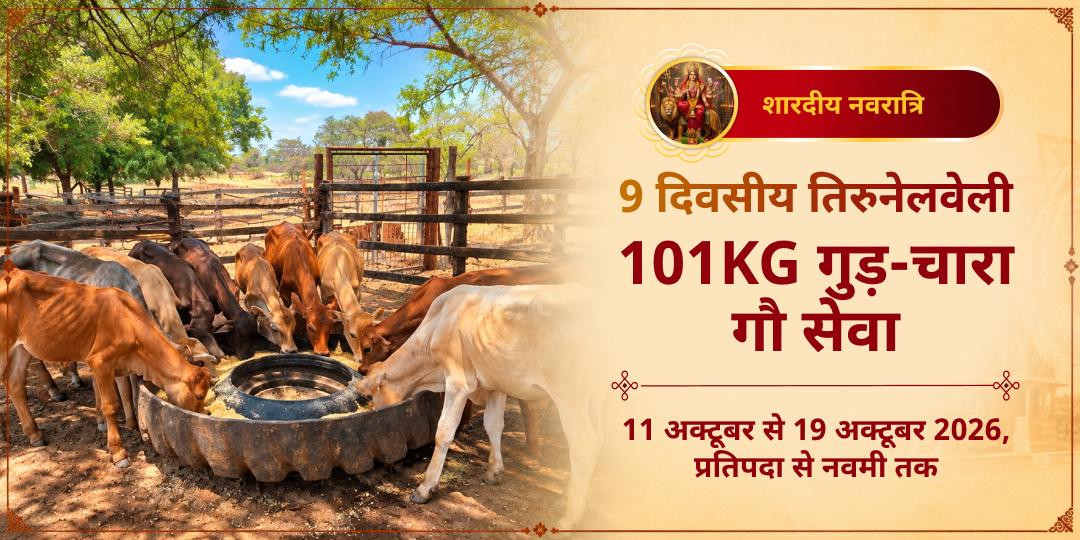 महा नवरात्रि 9 दिवसीय 101KG गुड़-चारा गौ सेवा तिरुनेलवेली