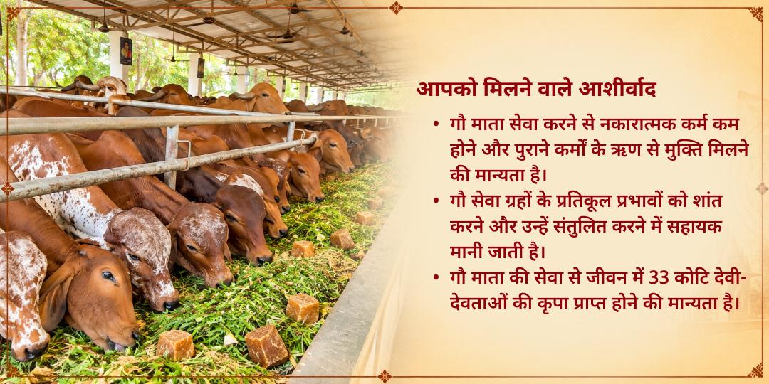 महा नवरात्रि 9 दिवसीय 101KG गुड़-चारा गौ सेवा तिरुनेलवेली