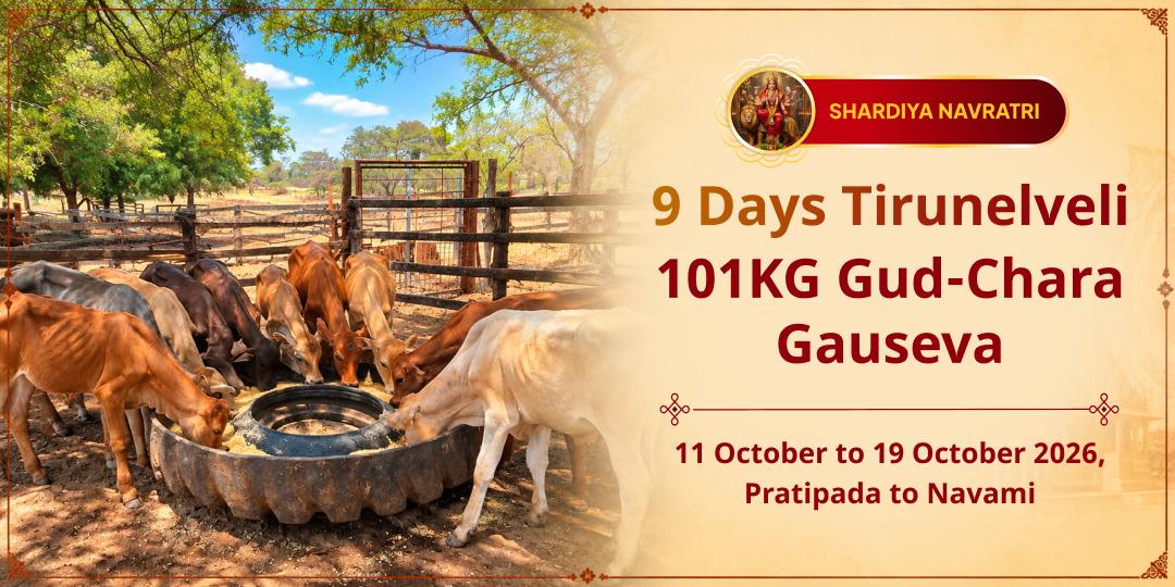 Maha Navratri 9 Days 101KG Gud-Chara Gauseva in Tirunelveli
