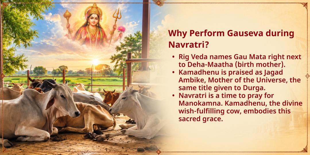 Maha Navratri 9 Days 101KG Gud-Chara Gauseva in Tirunelveli
