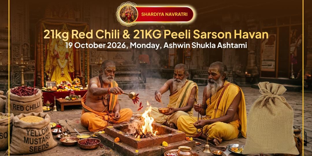 Maha Navratri Maha Ashtami 21 kg Lal Mirchi-21 kg Yellow Mustard Havan for Evil Eye & Enemy Victory
