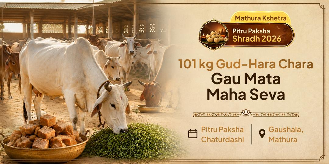 Join the 101 kg Gud-Hara-Chara Gau Mata Seva at the Gaushala of Mathura during Pitru Paksha - for Safe Vaitarni Crossing, Pitru Dosh Shanti and the Liberation of Your Ancestors!