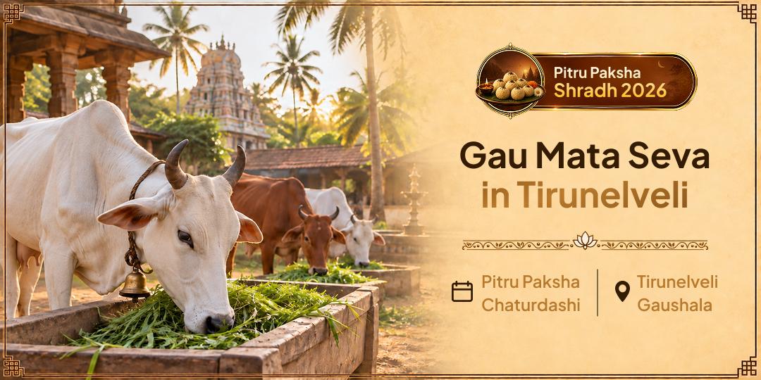Serve Gau Mata So Your Ancestor Finds Safe Crossing - Perform Gauseva at Tirunelveli