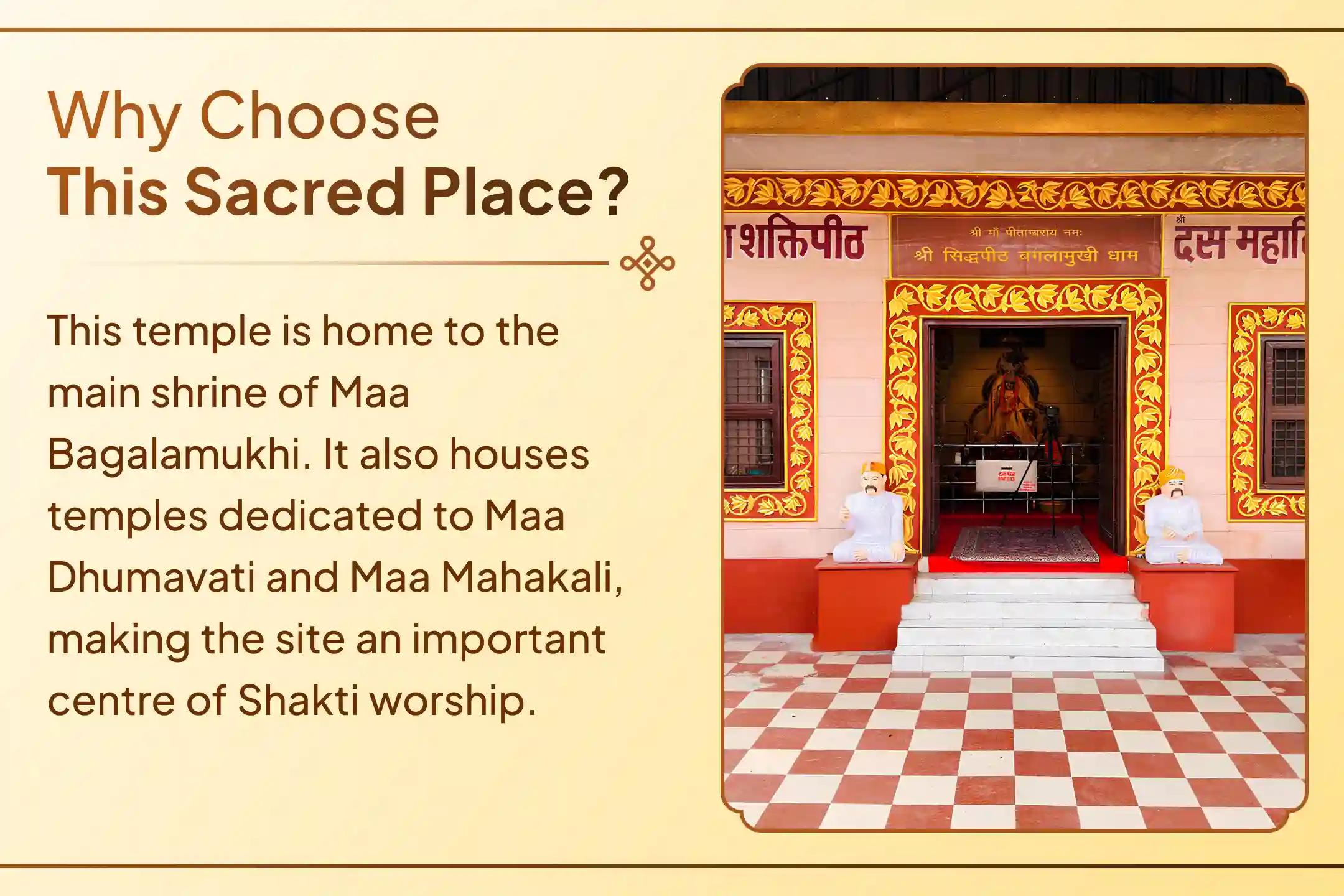 One day, eight Prahars, uninterrupted worship, a special Sankalp at the feet of Maa Pitambara.