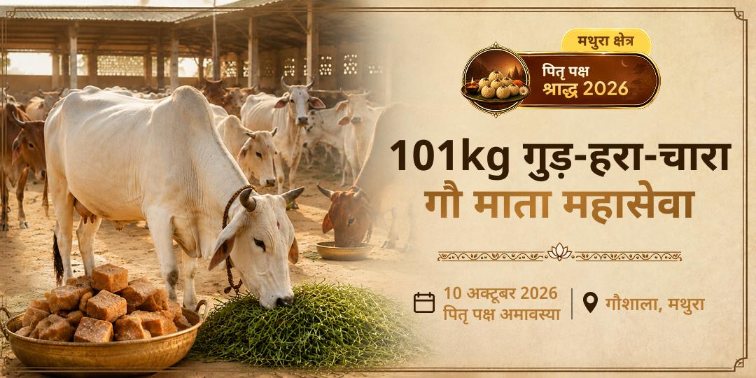 पितृ पक्ष श्राद्ध मोक्ष तीर्थ मथुरा 101kg गुड़-हरा-चारा गौ माता महासेवा