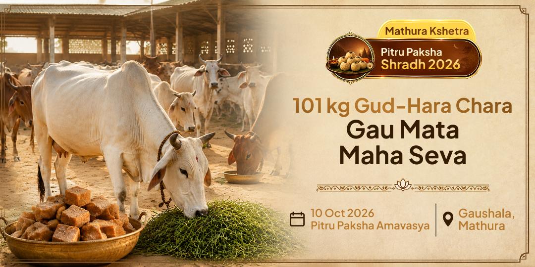 Pitru Paksha Shraddh Moksha Teertha Mathura 101 kg Gud-Hara Chara Gau Mata Seva
