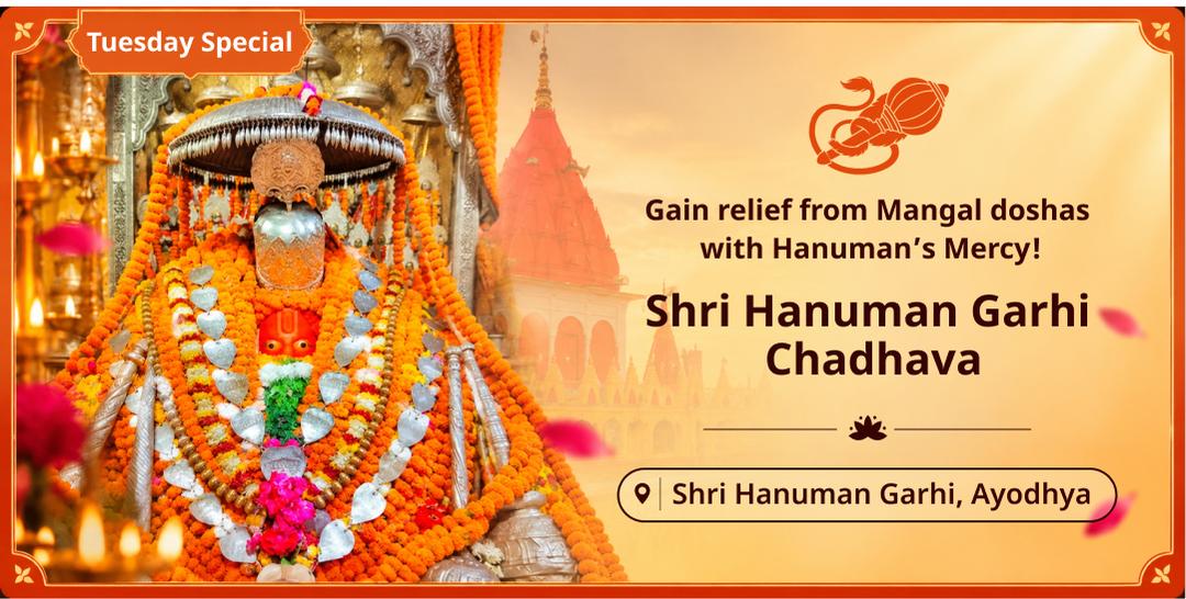 Receive graces from the living deity and receive inner strength with Tuesday Chadhava!