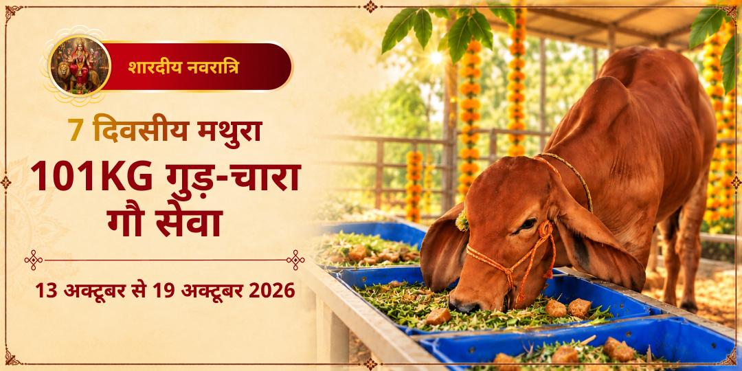 महा नवरात्रि 7 दिवसीय 101KG गुड़-चारा गौ सेवा मथुरा