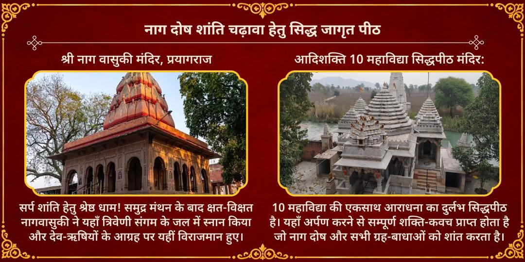 महानवरात्रि पंचमी नाग दोष शांति 10 महाविद्या-नाग देवता चढ़ावा