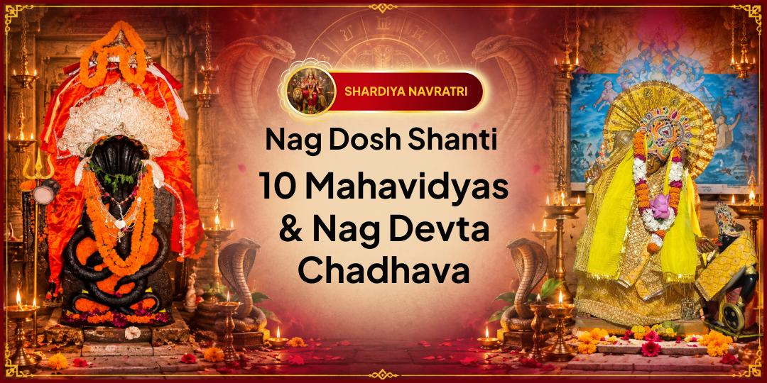 On Navratri Panchami, Worship Nagraj Vasuki & 10 Mahavidyas together! Offer Chadhava at both temples to get relief from Nag Dosh & Kaal Sarp Dosh! 