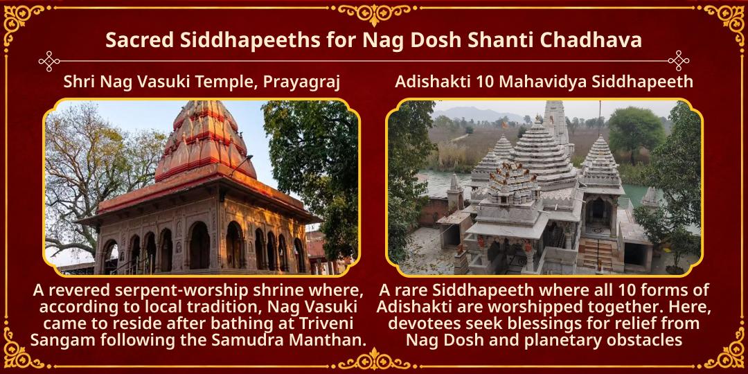 Maha Navratri Panchami Nag Dosh Shanti 10 Mahavidyas & Nag Devta Chadhava