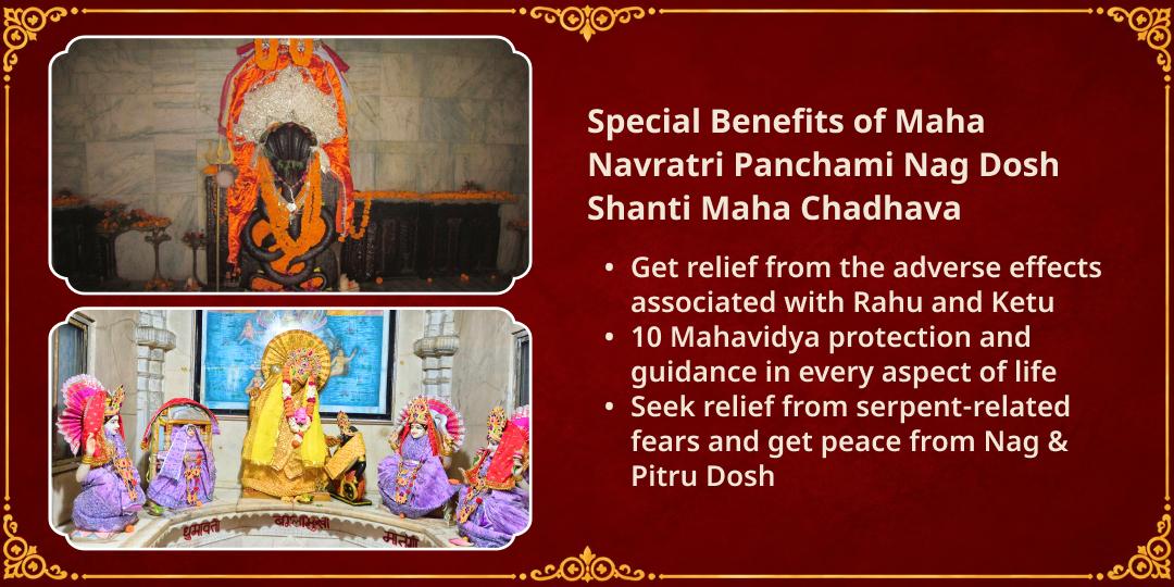 Maha Navratri Panchami Nag Dosh Shanti 10 Mahavidyas & Nag Devta Chadhava