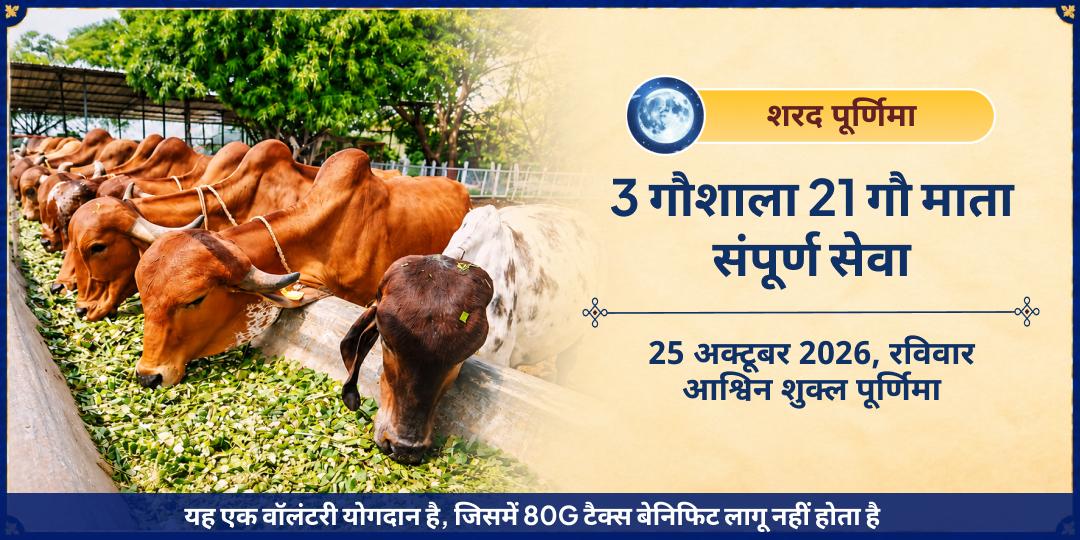 शरद रास पूर्णिमा विशेष 3 गौशाला 21 गौ माता संपूर्ण सेवा