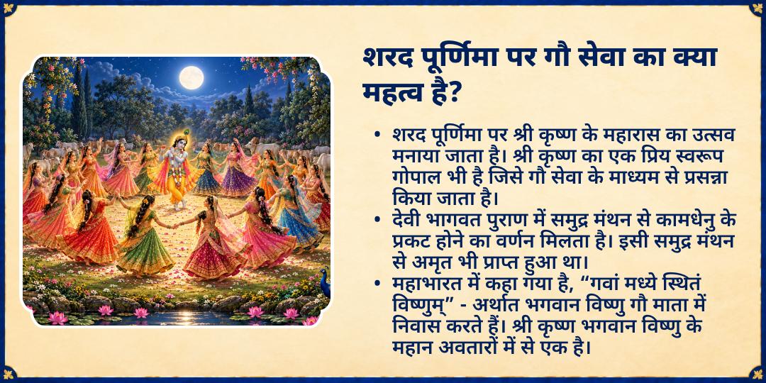 शरद रास पूर्णिमा विशेष 3 गौशाला 21 गौ माता संपूर्ण सेवा