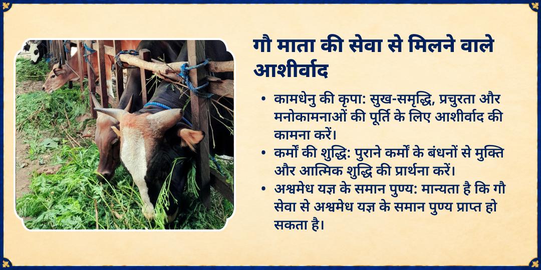 शरद रास पूर्णिमा विशेष 3 गौशाला 21 गौ माता संपूर्ण सेवा