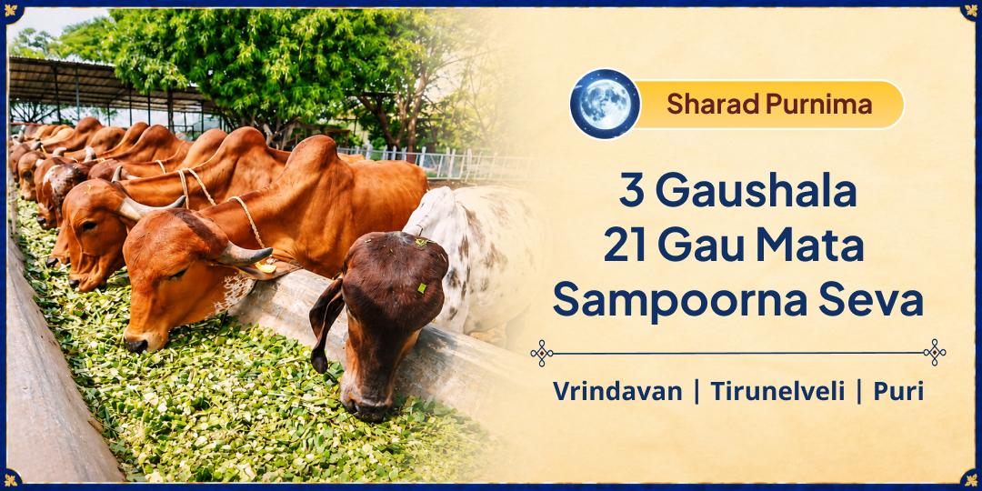 Mahabharata Says Vishnu Dwells Among Cows. This Sharad Purnima, Serve 21 Gau Matas Across 3 Gaushalas and Invite His Grace! 