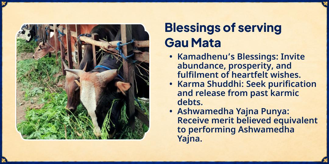 Sharad Ras Purnima Special 3 Gaushala 21 Gau Mata Sampoorna Seva 