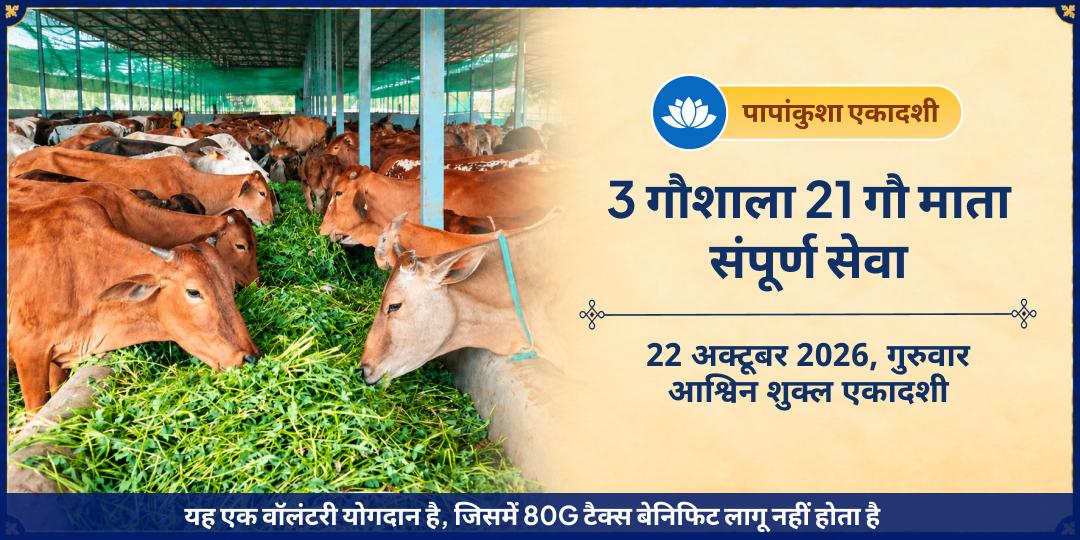 पापांकुशा एकादशी विशेष 3 गौशाला 21 गौ माता संपूर्ण सेवा