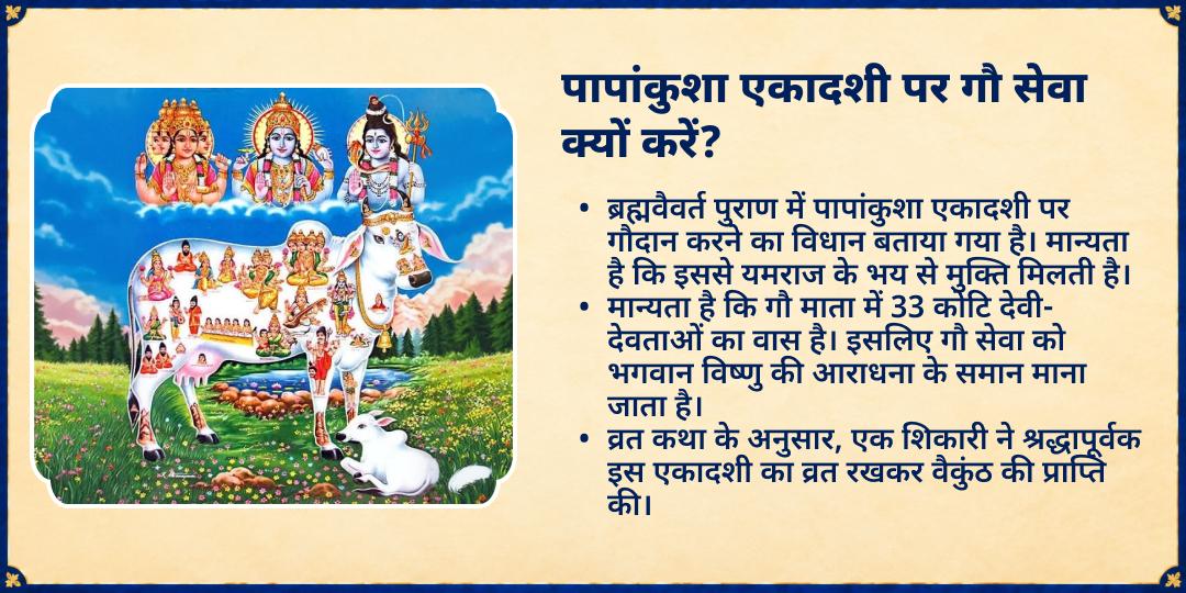 पापांकुशा एकादशी विशेष 3 गौशाला 21 गौ माता संपूर्ण सेवा