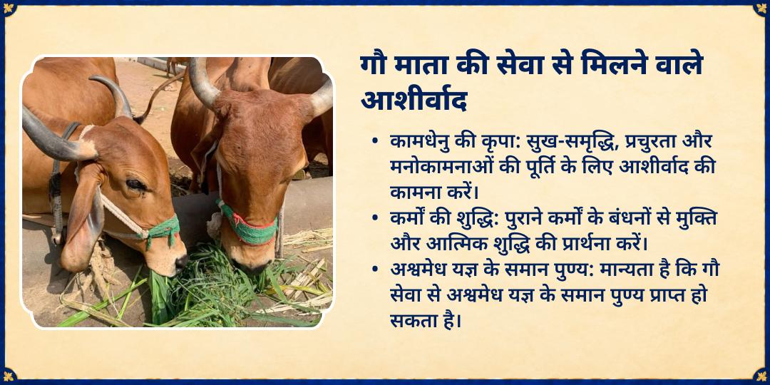 पापांकुशा एकादशी विशेष 3 गौशाला 21 गौ माता संपूर्ण सेवा
