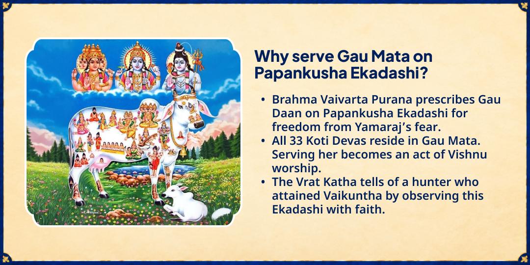 Papankusha Ekadashi Special 21 Gau Mata Sampoorna Seva 