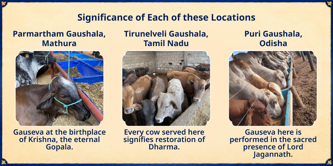Papankusha Ekadashi Special 21 Gau Mata Sampoorna Seva 