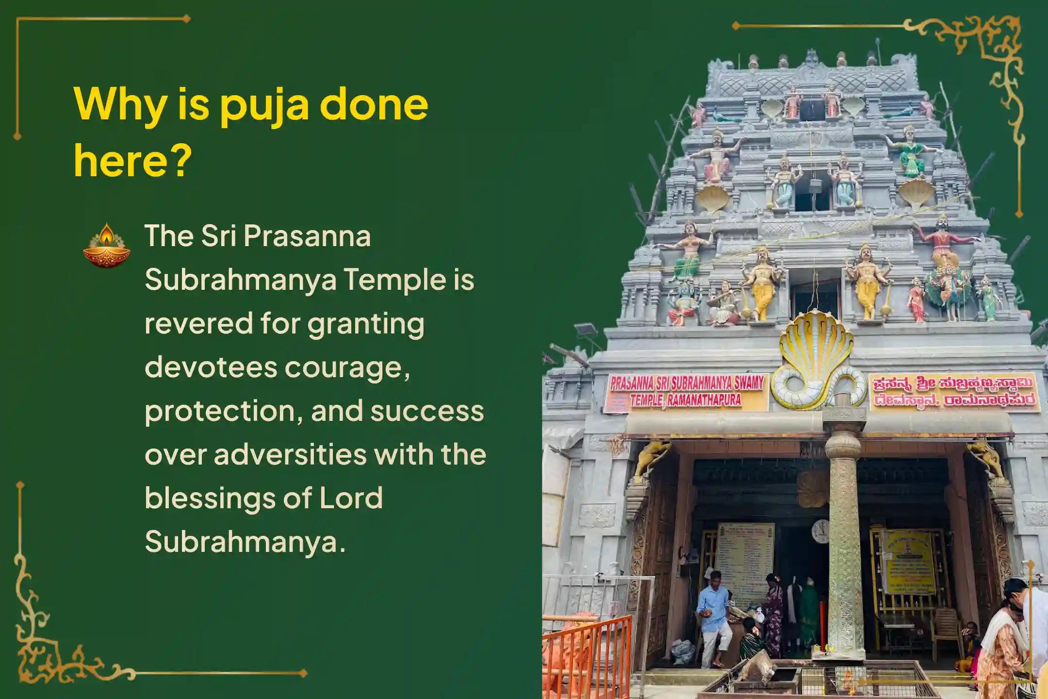 Participate in the Krittika Nakshatra Subrahmanya Special Ashlesha Bali Puja to remove the malicious effects of Sarpa (Naga) Dosha and clean karmic sins